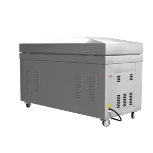 Вакуумный упаковщик DZ-800, однокамерный, 2 планки запайки, напольный