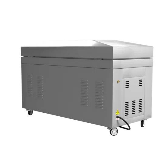 Вакуумный упаковщик DZ-800, однокамерный, 2 планки запайки, напольный