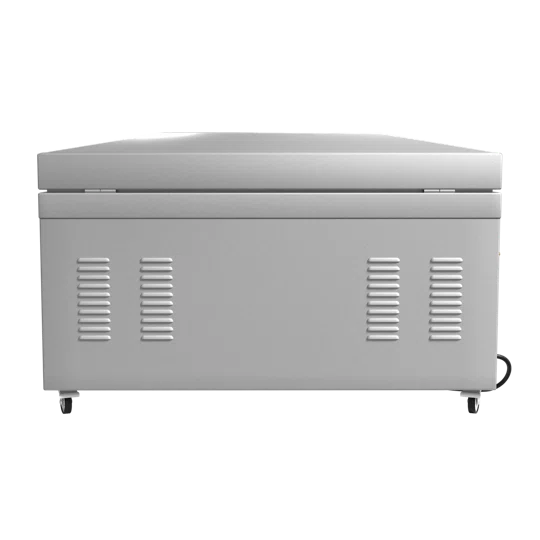 Вакуумный упаковщик DZ-800, однокамерный, 2 планки запайки, напольный