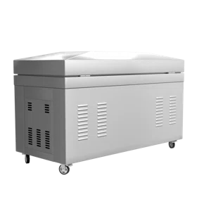 Вакуумный упаковщик DZ-800, однокамерный, 2 планки запайки, напольный