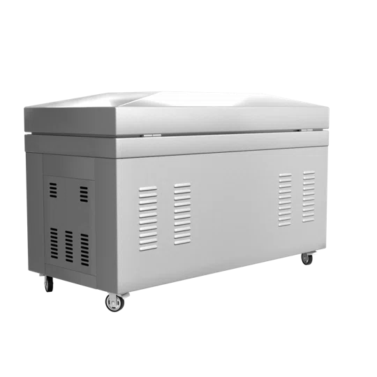 Вакуумный упаковщик DZ-800, однокамерный, 2 планки запайки, напольный