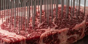 Инъектор для мяса SYZ-48