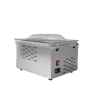 Вакуумный упаковщик DZ-260D, однокамерный, настольный