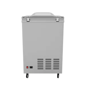 Вакуумный упаковщик DZQ-400E GAS, однокамерный с газацией