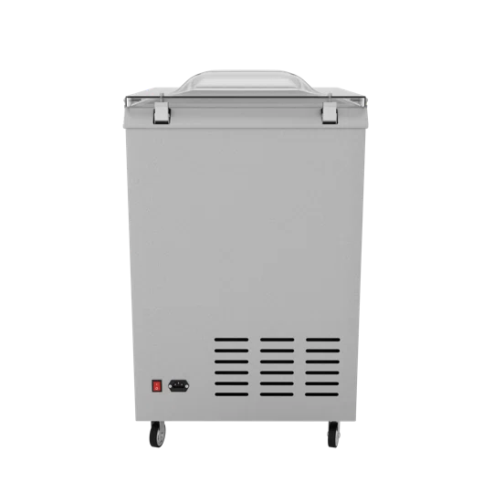 Вакуумный упаковщик DZQ-600E GAS с газацией, однокамерный