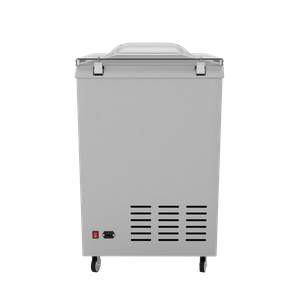 Вакуумный упаковщик DZQ-600E GAS с газацией, однокамерный