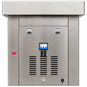 Вакуумный упаковщик DZ-600/2SB двухкамерный