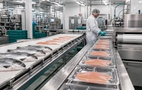 Оборудование для рыбного цеха