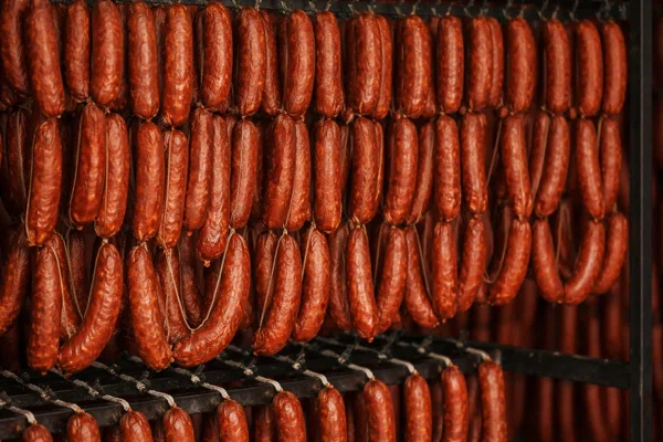 Коптильная камера SYX-50